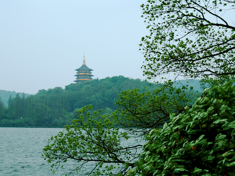 人文杭州，父母們來了！河南礦山第十三屆孝文化感恩旅游節(jié)第三站